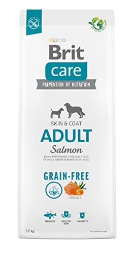  for Adult Dogs small and medium Breeds Grain Free Adult Salmon 12