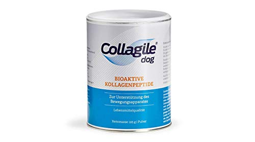Collagile Dog 225g - Bioaktive Kollagenpeptide in LebensmittelqualitÃ¤t