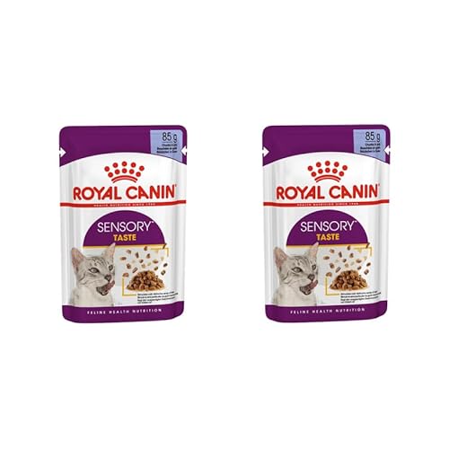 Royal Canin Sensory Taste Doppelpack 2 x 12 x 85 g Alleinfuttermittel für ausgewachsene Katzen Stückchen in Gelee Kann dabei helfen den Geschmackssinn anzuregen