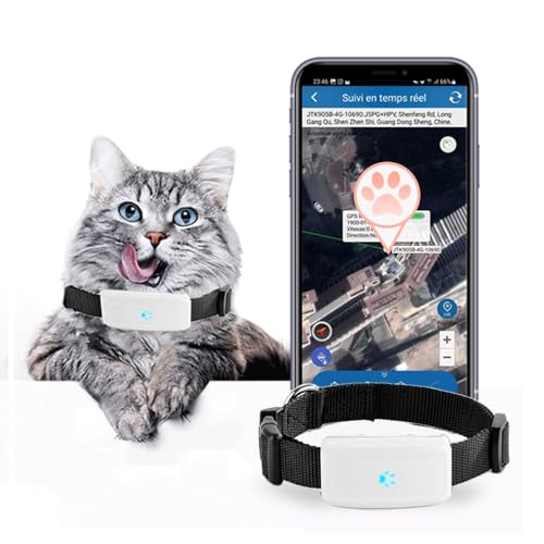 Zeerkeer GPS Tracker für Hunde Katze Mini GPS Haustiere Ortung Ohne ABO Echtzeit Tracking Anti Verlust Alarm Haustier Tracker Historische Route GPS Halsbänder Wasserdicht mit kostenloser APP 50g