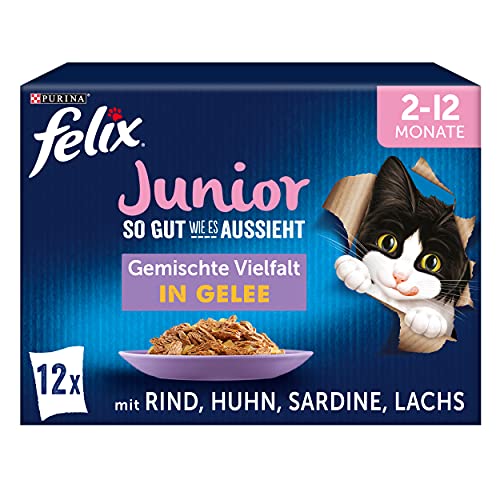 FELIX So gut wie es aussieht Junior Kittenfutter nass in Gelee Sorten-Mix 6er Pack 6 x 12 Beutel 85g
