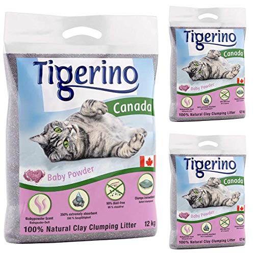 Tigerino Canada klumpend Babypuderduft 3x 12kg parfümiert antibakteriell Einweg  und hypoallergenes Hygienestreu mit Geruchskontrolle