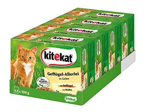 Kitekat Katzenfutter Nassfutter Geflügel-Allerlei in Gelee 48 Portionsbeutel 4 x 12 x 100g