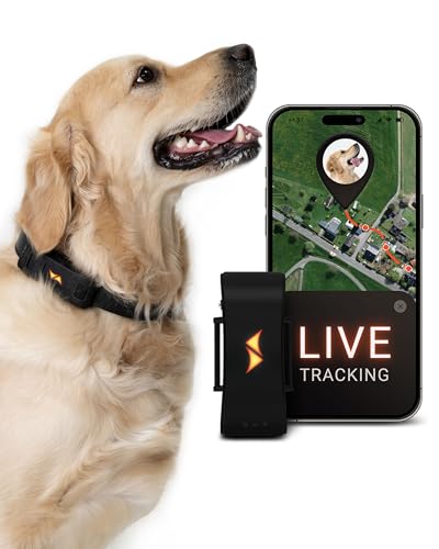 PAJ für Hunde   4G   Weglaufalarme weltweite Live Ortung   bis zu 10 Tage Akkusparmodus   Hunderückruf   mit Leucht LEDs   Wasserdicht IP67   passt an jedes Halsband   schwarz