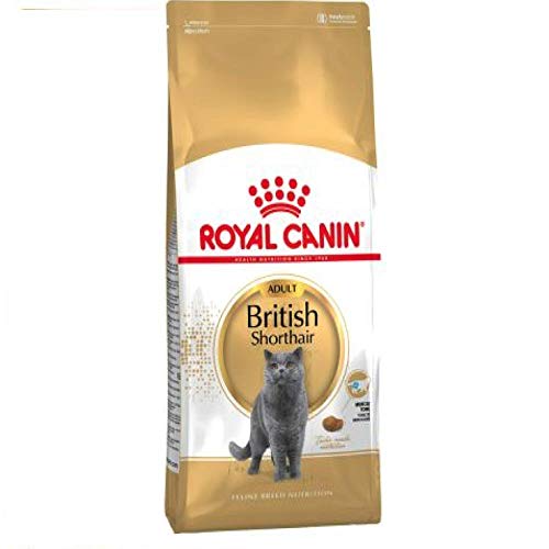 Royal Canin Feline British Shorthair 1er Pack 1 x 2 kg Beutel - Katzenfutter