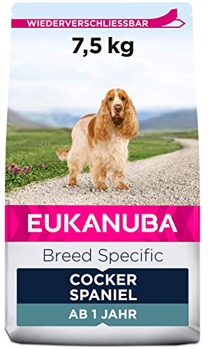 Eukanuba Breed Specific Cocker Spaniel Trockenfutter - optimal auf die Rasse abgestimmtes Premium Hundefutter mit Huhn 7 5 kg
