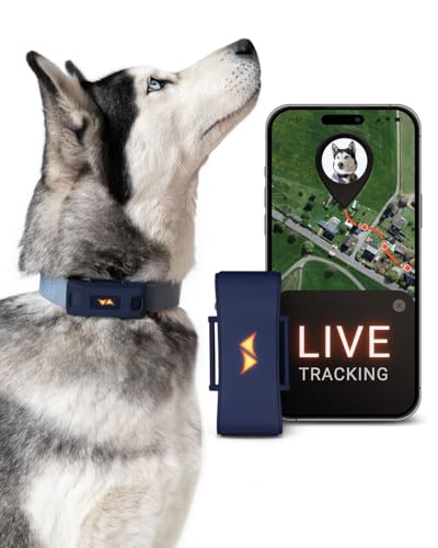 PAJ für Hunde     Weglaufalarme weltweite Live Ortung   bis zu 10 Akkusparmodus   Hunderückruf   mit Leucht LEDs   Wasserdicht IP67   passt an jedes Halsband Blau