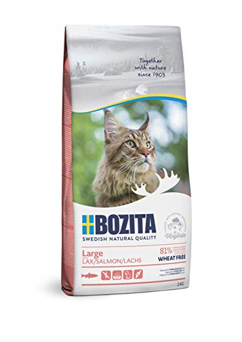 BOZITA Large Weizenfrei Lachs - Trockenfutter für erwachsene Katzen großer Rassen 2 kg