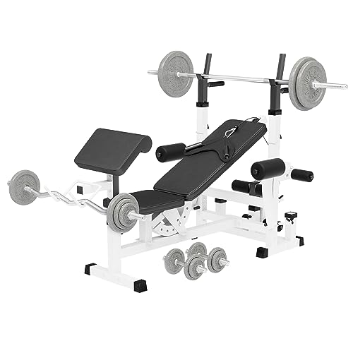 GORILLA SPORTS Multifunktion Hantelbank - inkl. Hantelset mit 108 kg Gewichten Verstellbar mit Langhantel-Ablage Curlpult und Butterfly Dip-Station Beinstrecker - Trainingsbank Kraftstation