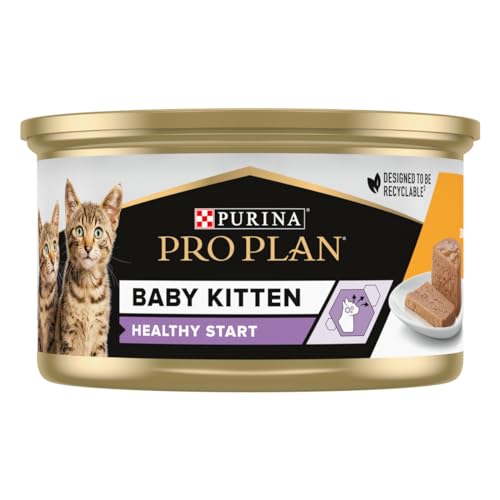  Baby Kitten Healthy Start Schaum reich an Huhn Kätzchen Lunchbox 85g 24 Stück