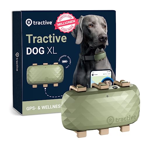 Tractive XL für Hunde Empfohlen von Martin Rütter Bis zu 1 Monat Akku Weltweite Live Ortung Weglaufalarm Gesundheitswarnungen Aktivitätstracking Mehrfacher Testsieger