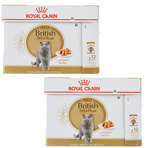 Royal Canin British Shorthair Doppelpack 2 x 12 x 85 g Nassfutter für ausgewachsene Britisch Kurzhaar Katzen Ab dem 12. Lebensmonat geeignet Kleine Stückchen in Soße