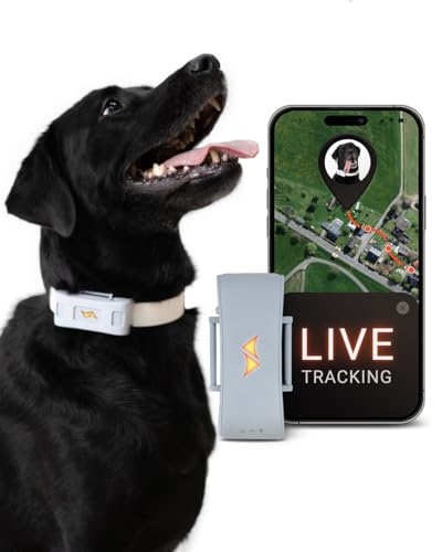  für Hunde     Weglaufalarme weltweite   10 Akkusparmodus   Hunderückruf   mit Leucht LEDs   Wasserdicht IP67   passt an jedes Halsband Grau