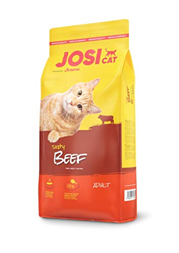 JosiCat Tasty Beef 1x 10kg Premium für ausgewachsene powered by JOSERA 1er Pack