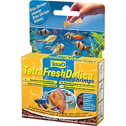 Tetra Delica Fresh Brine Shrimps 48g - Fischfutter