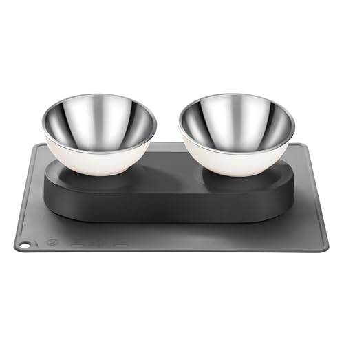 Marchul Katzennäpfe mit Ständer 15 Geneigt Erhöhte Näpfe aus Edelstahl Futter- und Wassernapf Doppelnapf mit Rutschfester Silikonmatte Leicht zu Reinigen für Katzen und Kleine Hunde