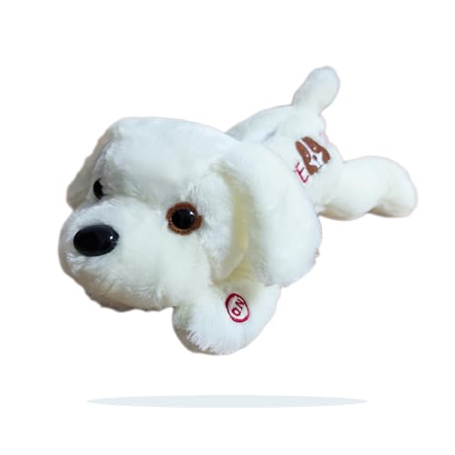 TAOZHUGONG LEDüsch Hund Kuschelhundüschtier 30cm Luminous Hündchen Hundüsch Kissen Spielzeug Kinderzimmer Kinderzimmer Dekokissen Geburtstagsgeschenk B