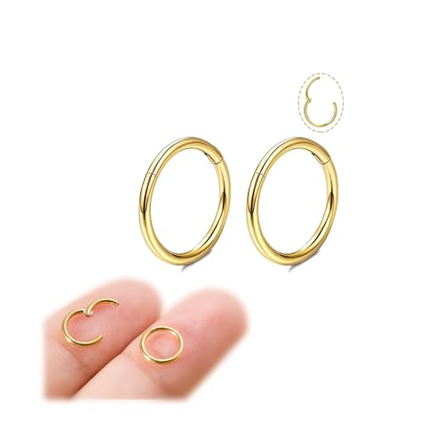  Set Silber dünn für Herren Nasenring 18G Septum Helix Tragus Conch Piercing Hypoallergen Knorpel Lippenpiercing Nasen Goldene 6mm