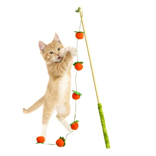 Ahuuen Katzenspielzeug Interaktiver Stab Mit Frucht Design Für Selbstspiel Katzen Reizspielzeug - Für Kätzchen Zum Indoor Spielen Und Zur Beschäftigung Mit Vogel Fisch Und Maus Gegen