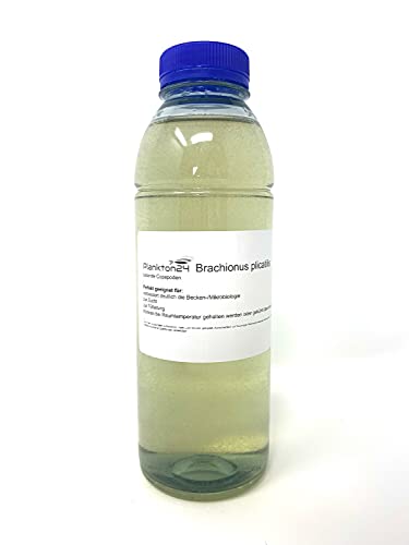 Plankton24 Lebendfutter Brachionus plicatilis - Lebende Copepoden 500 ml Zooplankton für Fischhalter Aquarianer - Fischfutter
