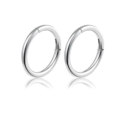 2 Stück Kleine Creolen Silber Silber Creolen Klein Ohrringe creolen Silber Klein Silberohrringe Mini Leichte Hoop Earrings Edelstahl Silver Piercings Ohrstecker Klappcreolen Lippenring Nase Ringe