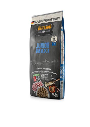  Junior Maxi 5kg Junghunde großer Junghunde 4 Monaten