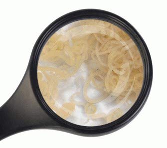 Lebendfutter Freie Auswahl 45 ml Beutel Verschiedene Sorten SAHAWA Enchytraeen 45 ml