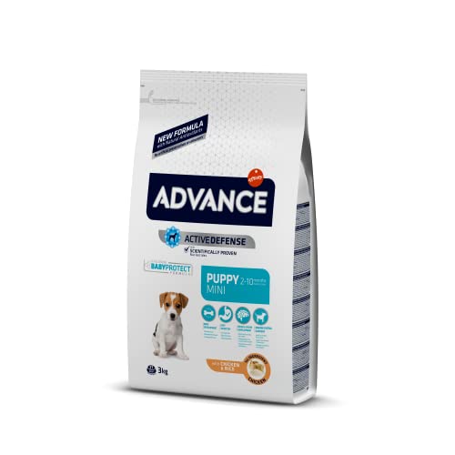  Mini Puppy 1 er 1x 3