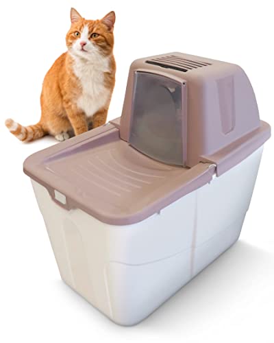 PETGARD Katzen-Klo Sofia Close - Tier-Toilette mit Einstieg von Oben - Hauben-Toilette mit Filter - Haustier-Klo 58x39x56 cm - Katzen-Toilette Beere