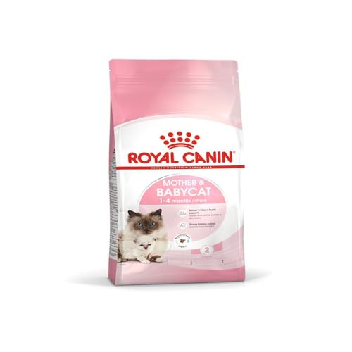 Royal Canin 55172 Babycat 2 kg - Katzenfutter