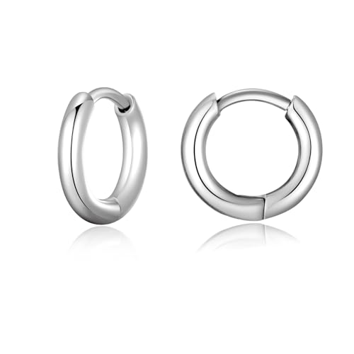 Titan Creolen Ohrringe für Damen Herren G23 Titan Creolen Hypoallergen Klein Klappcreolen Kreolen Knorpel Helix Ohrpiercing 8mm