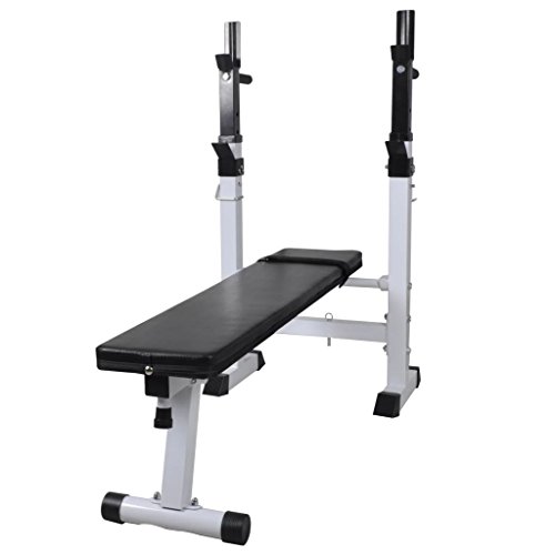 Festnight Klappbar Hantelbank Ablage Kraftstation Fitnessbank Stahl Trainingsbank Max. Belastung 100 kg