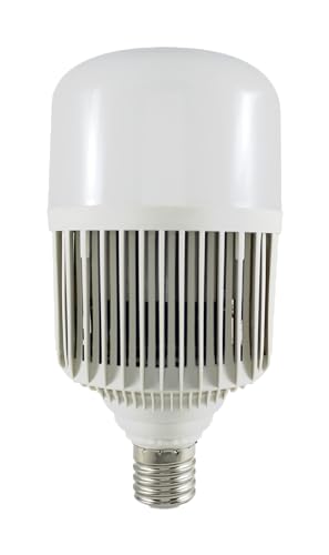  Leuchtmittel 80 W mit Adapter auf