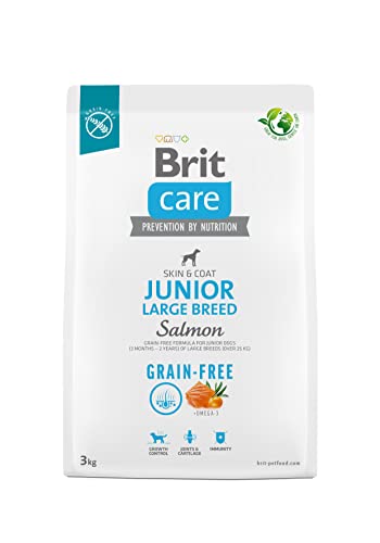 Dry Food for Young Dog 3 Months - 2 Years Large Breeds Over 25 kg - Brit Care Dog Grain-Free Junior Large Salmon 3kg