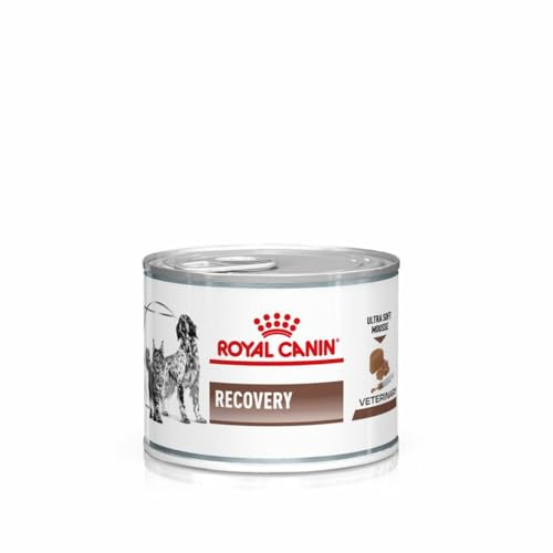 Royal Canin Veterinary Recovery 12 x 195 g Diät-Alleinfuttermittel für ausgewachsene Hunde und ausgewachsene Katzen Ultra Soft Mousse mit einem hohen Proteingehalt