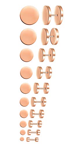 Feilok 10 Paar Edelstahl Herren Ohrstecker Creolen Tunnel Ohrringe für Damen Fakeplug Fake Plug Ohrringe Pierced Earrings Stud Earrings Set 3-14mm Rose Gold