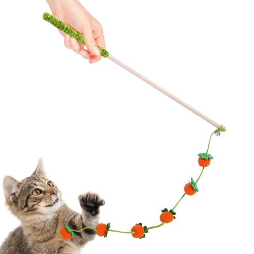 Katzenangel Interaktiver Stab Mit Fruchtdesign Für Selbstständiges Spiel - Interaktiver Katzenspielzeug Stab - Für Kätzchenspiel Im Innenbereich Gegen Langeweile Mit Vogel- Fisch- Und Maus-Motiven