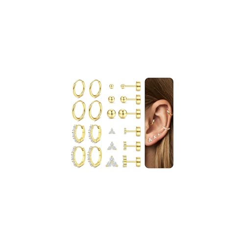 10 Paar Ohrringe Gold Silber Set Helix Piercings Chirurgenstahl Medizinische Ohrstecker und Creolen Piercing Ohr für Damen Herren Hypoallergene Conch Tragus Piercing Gold Schmuck Set Gold Kleeblatt