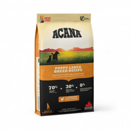  Welpe Large 11.4kg