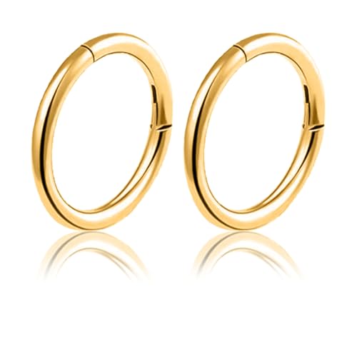 2 Stück Ohrringe Creolen Gold Klein Zarte Mini Creolen Gold Klein Piercing Ohrstecker Kreis Ohrringe Set Edelstahl Dünn Hoop Creolne Ohrloch Earring Nasenring für Damen und Men Durchmesser 8 mm