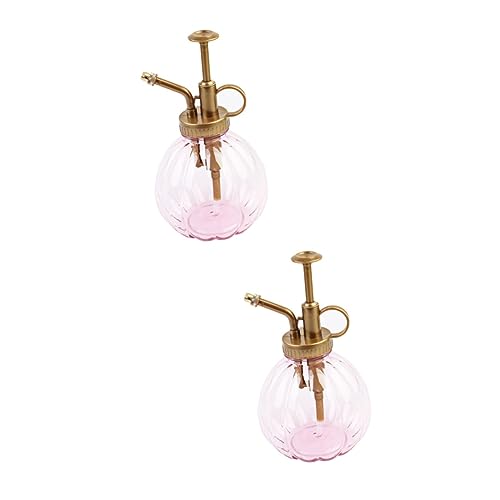 Toddmomy 2St saftige Gießflasche Handsprüher Pflanzensprüher Vintage- alte Flasche Blumenflasche gießen Gießkanne Gieße die Blumen Spritzgerät Bewässerungsvase Violett Wiederverwendbar