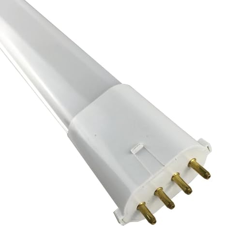 WANGFK PL AC DC12V 4 W 6 W 8 W Niederspannungs 4 Pin PLC 3CCT Helligkeitslampe Warm NO 4W