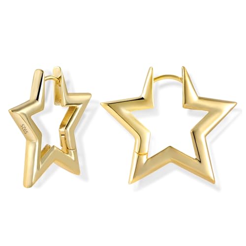 ALEXCRAFT Stern Ohrringe Gold 14K Goldener Creolen Klein Damen Ohrringe Vergoldete Geschenk für Frauen Freundin Mama Mädchen
