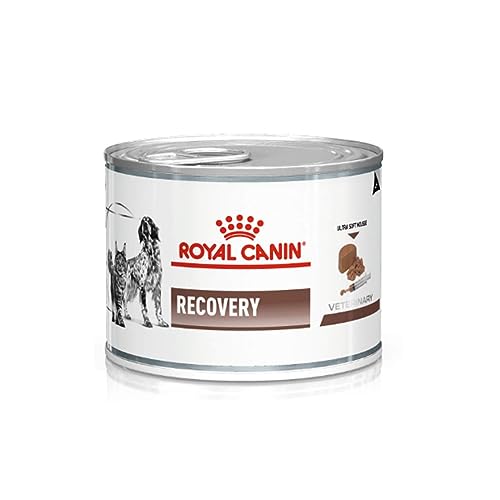 Royal Canin Veterinary Recovery 12 x 195 g Diät-Alleinfuttermittel für ausgewachsene Hunde und ausgewachsene Katzen Ultra Soft Mousse mit einem hohen Proteingehalt