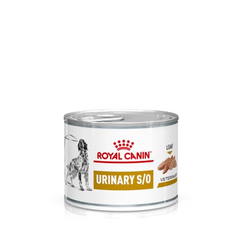 Royal Canin Veterinary Urinary S O Mousse 12 x 200 g Diät-Alleinfuttermittel für Hunde Kann zur Auflösung von Struvitsteinen beitragen Harnverdünnende Eigenschaften