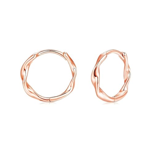Rainway Creolen Damen Oval Twisted Rosegold Ohrringe für Damen Mädchen Einfach Klassische Kreolen Hypoallergen Creolen Set für Multiple Piercings Geschenk Unisex Schmuck