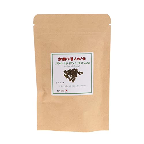 Fischfutter Spinat-Sticks Pellets Mischdiät Ernährung sinkendes Futter für Kristallgarnelen Bodenfütterung Fische 34 g Aquarium Heizung Licht Thermometer Kies Sand Dekorationen