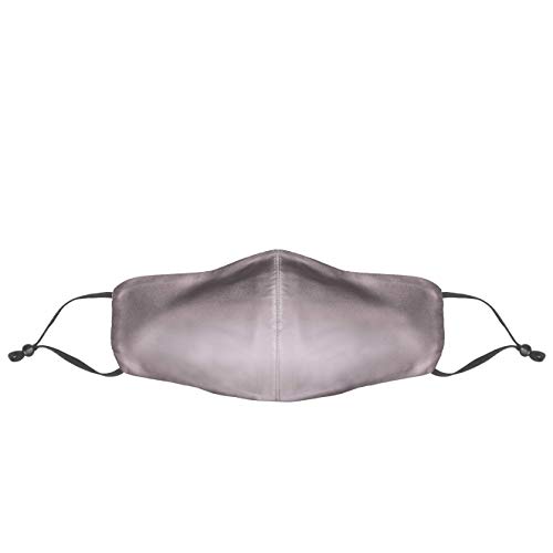 Dilara PREMIUM Seidenmasken Mundschutz mit Motiv in verstellbarer Größe waschbar - Gesicht Maske verstellbar aus Seide Stoff mit Nasenbügel SOFORT lieferbar Grau