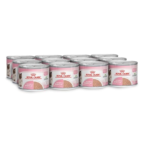 Royal Canin Mother Babycat Mousse 12 x 195 g Alleinfuttermittel für Katzen Speziell für die Mutterkatze und ihre Welpen Zur Unterstützung der körpereigenen Abwehrkräfte
