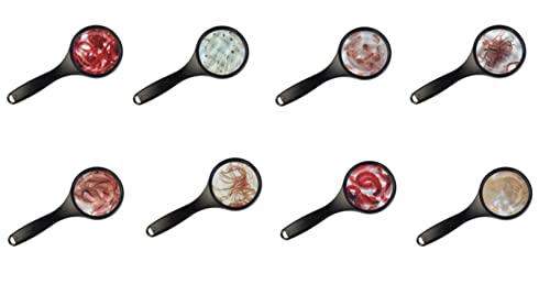 Sahawa Zierfisch Lebendfutter- Paket freie Auswahl per E-Mail viele Sorten 50x45ml Aquarienfischfutter